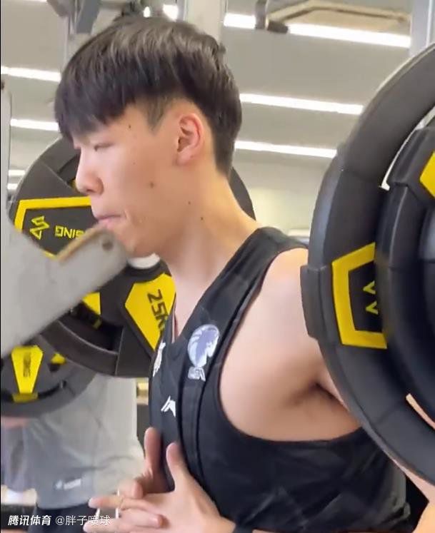 激情性插