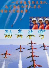 91视频苹果版
